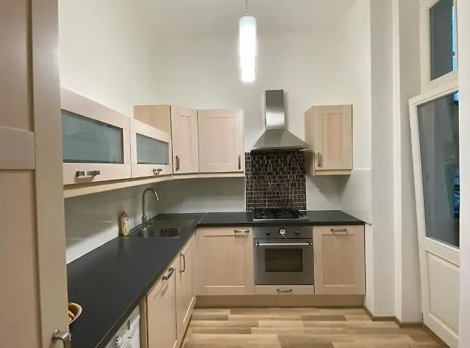 Διαμέρισμα Spacious On Wenceslas Square *